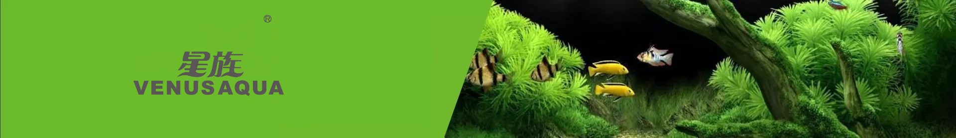 Has Akvaryum Resim - 1