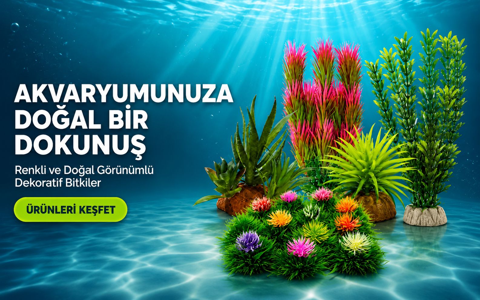 Has Akvaryum Resim - 2