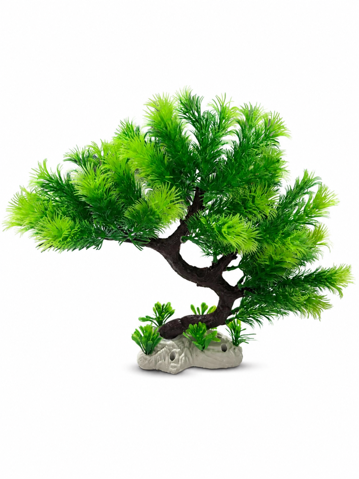 1031 BONZAİ BİTKİ 1031 BONZAİ BİTKİ