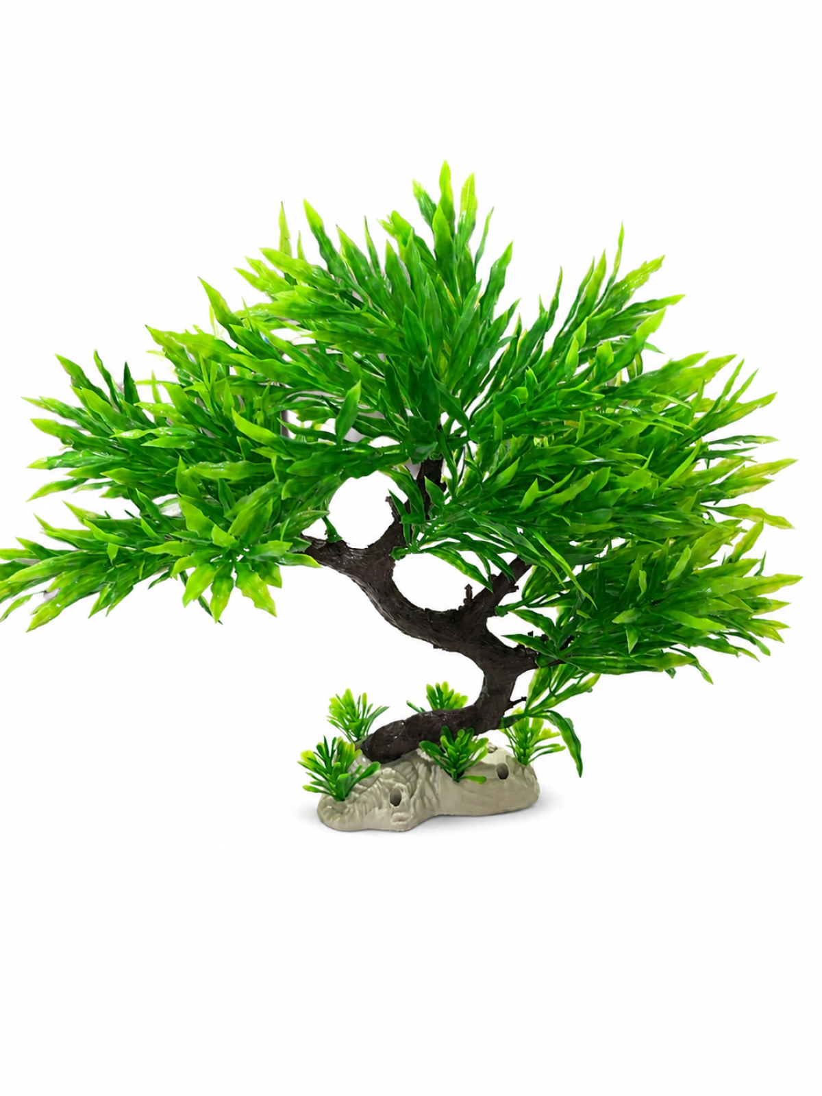 1032 BONZAİ BİTKİ 1032 BONZAİ BİTKİ