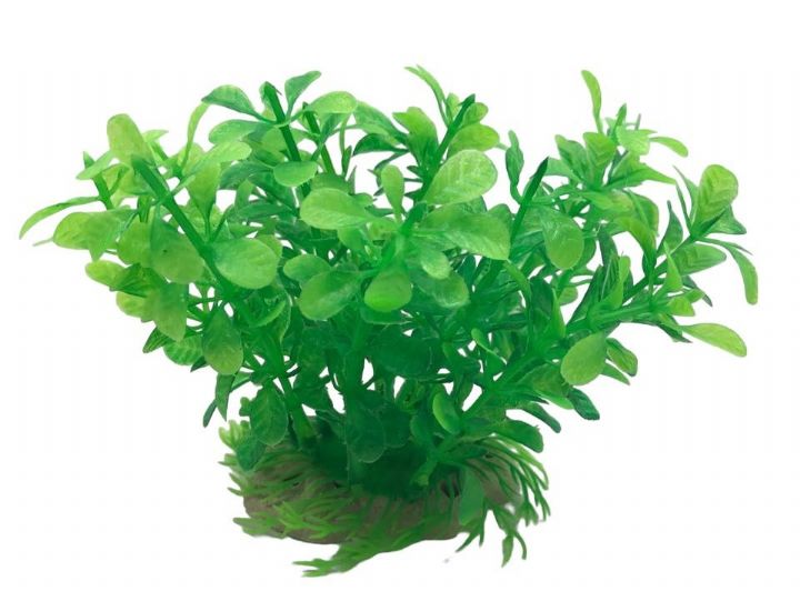 1429 Plastik Bitki 6'lı 1429 Plastik Bitki 6'lı