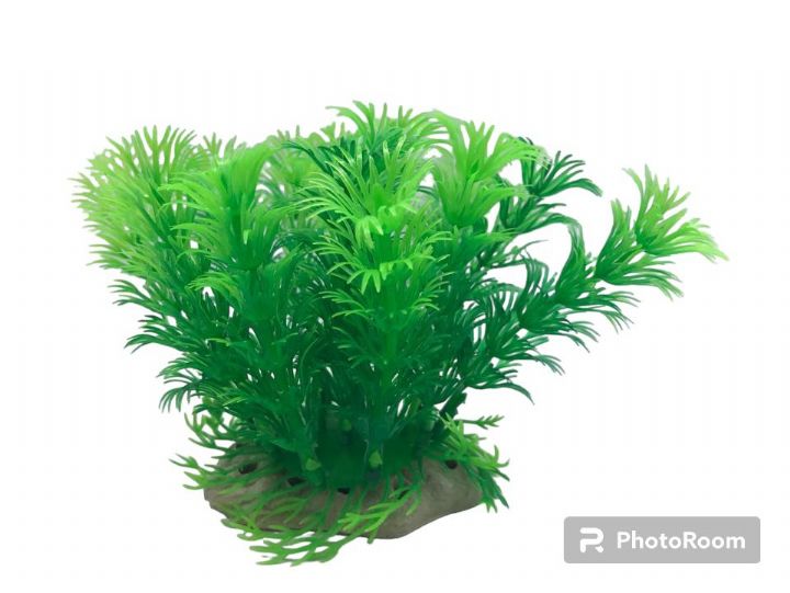 1433 Plastik Bitki 6'lı