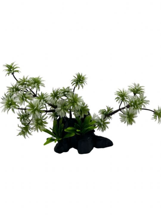 4000075 BONZAİ BİTKİ YEŞİL BEYAZ