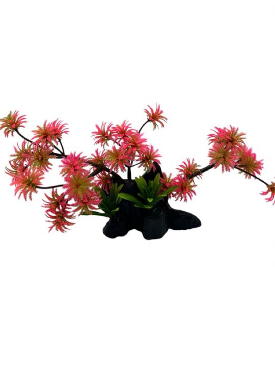 4000077 BONZAİ BİTKİ KIRMIZI 