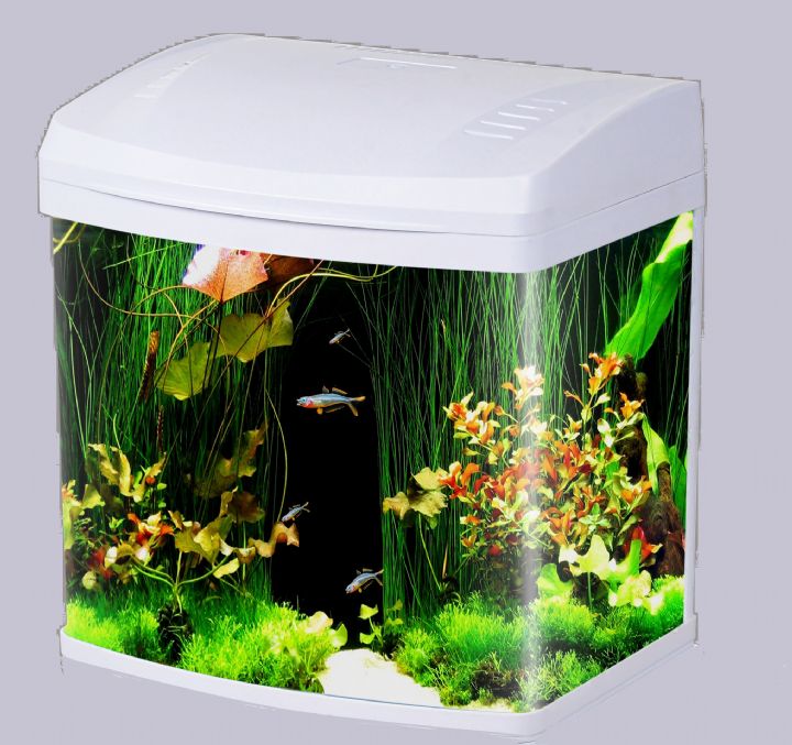 Aqua Master Akvaryum Led 38x27x44cm