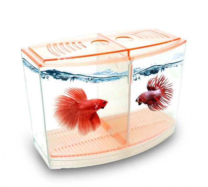 Atlantik Betalık 9*19*14cm