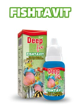 DEEP FISFTAVIT 30ml 12'li