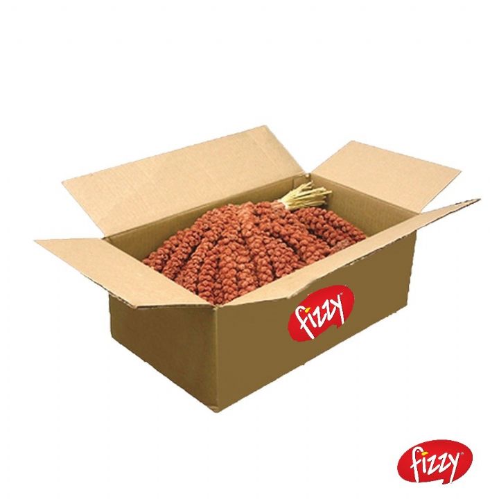 FİZZY DAL DARI KOLİ 15kg