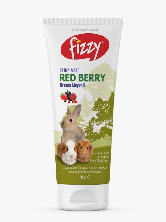FİZZY KEMİRGEN RED BERRY PASTE 100gr