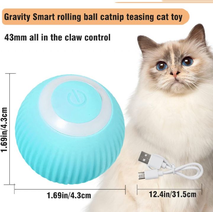 Kedi Oyuncagı İnteraktif Hareketli Top