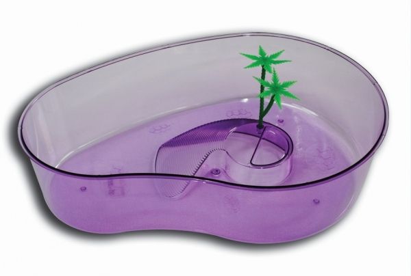 KAPLUMBAGA BAHÇESİ ELİPS