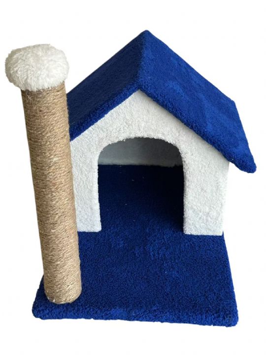 Kedi Tırmalama Cat Dream