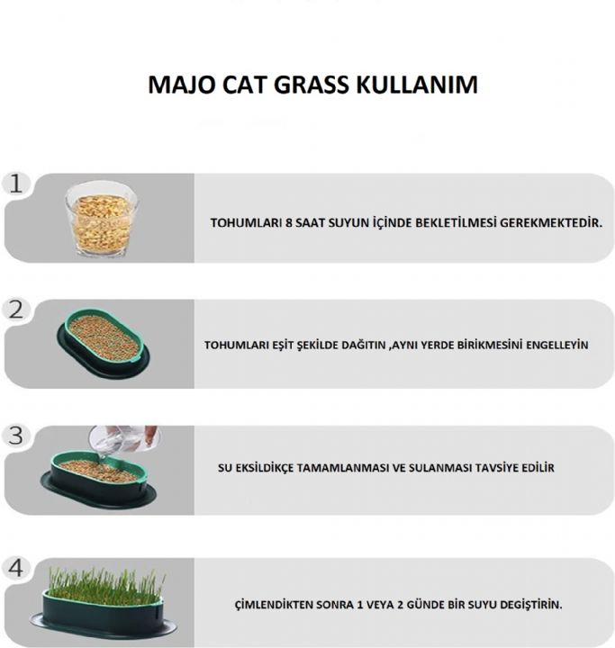 MAJO CAT GRASS KEDİ ÇİMİ