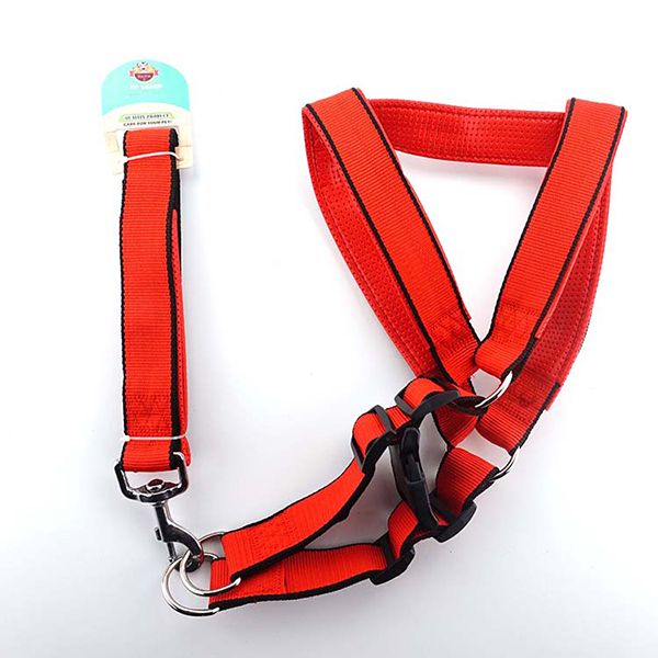 Maxi Life Gez.gög.tasması Y.doku 40mm