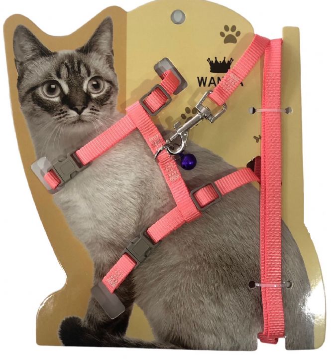 MAXİ LİFE KEDİ GÖGÜS TASMASI DÜZ RENK