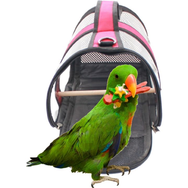 NEO PET KUŞ TAŞIMA ÇANTASI NO:1