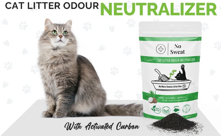 No Sweat Karbon Kedi Kumu Koku Giderici 500gr