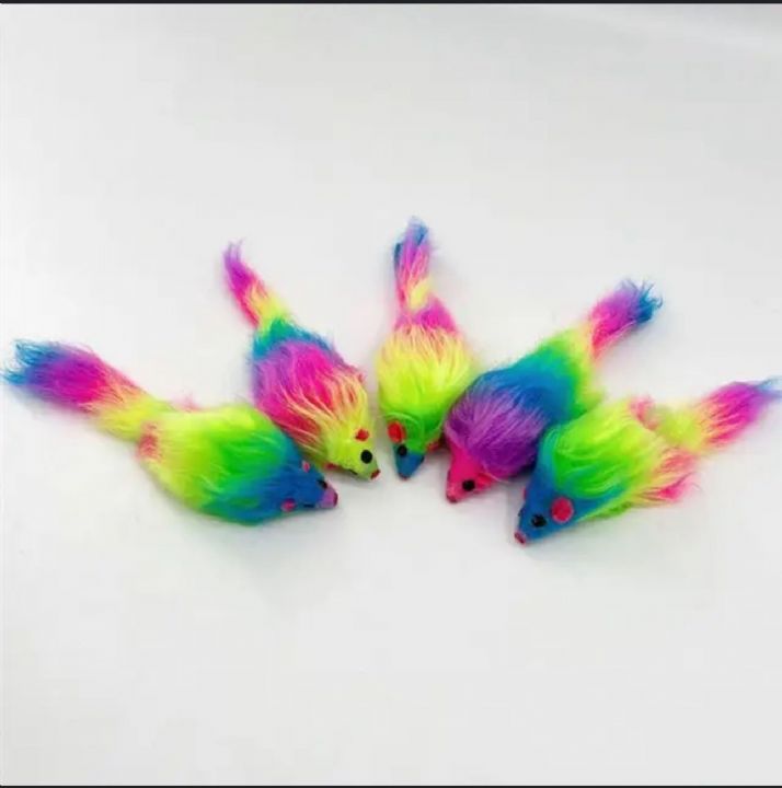 Nunbell Kedi Oyun.fare Renkli 100'lü