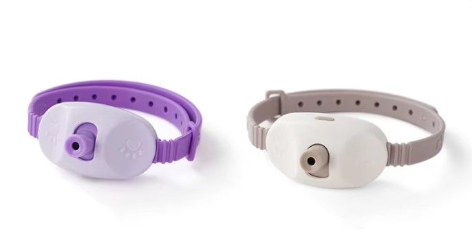 NUNBELL LAZER KEDİ TASMASI OYUNCAK