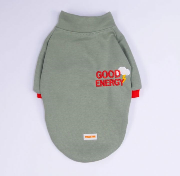 PAWSTAR YEŞİL SEATTLE STORM SWEAT