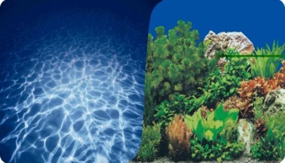 Plastik Poster Deniz&bitki 30cm-15mt