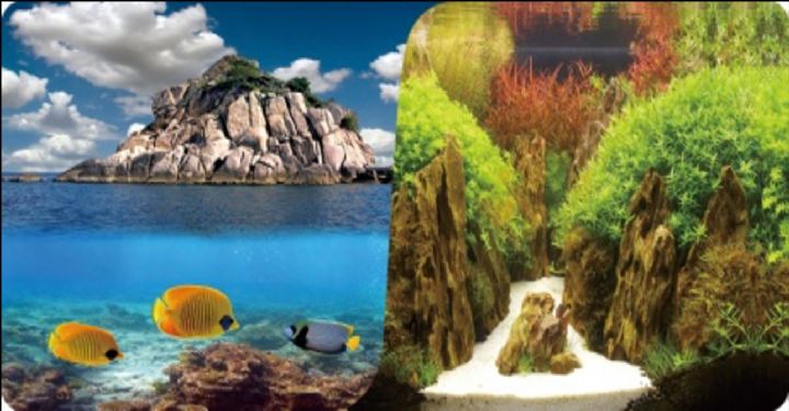 PLASTİK POSTER MANZARA-BİTKİ 40cm-15mt PLASTİK POSTER MANZARA-BİTKİ 40cm-15mt