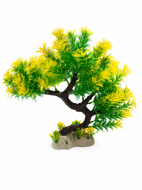 1030 BONZAİ BİTKİ