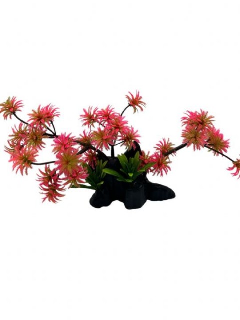 4000077 BONZAİ BİTKİ KIRMIZI 