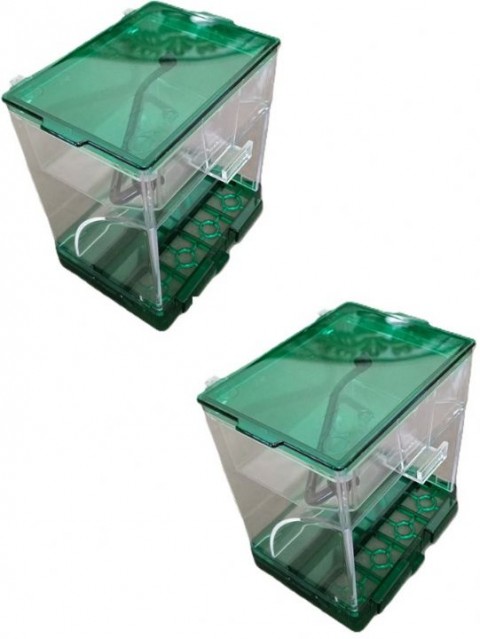 Akıllı Yemlik Renkli 4'lü