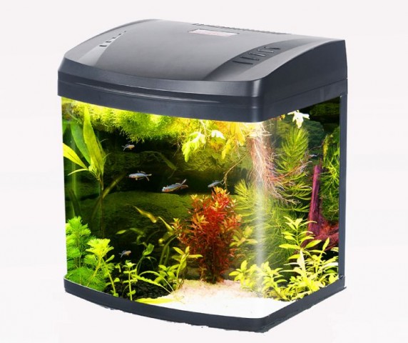 AQUA MASTER AKVARYUM LED 30x25x34cm