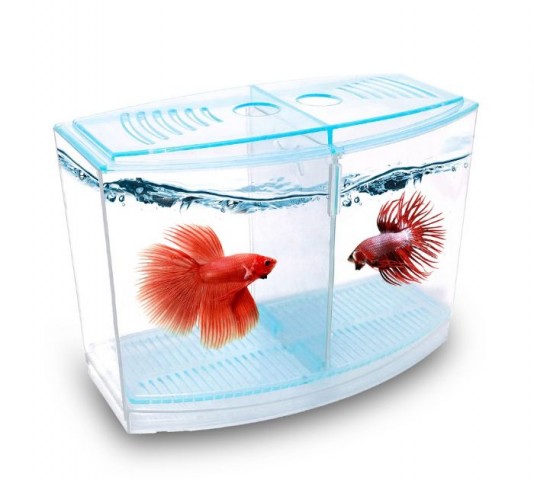 ATLANTİK BETALIK 9*19*14CM