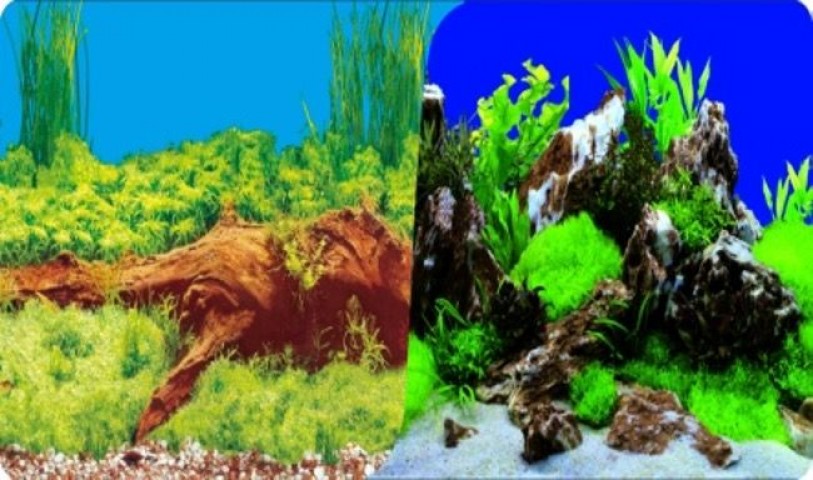 PLASTİK POSTER BİTKİ KAYA 40cm-15mt