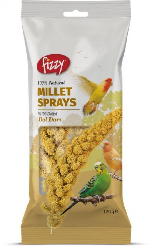 Fizzy Doğal Dal Darı 120gr 10'lu