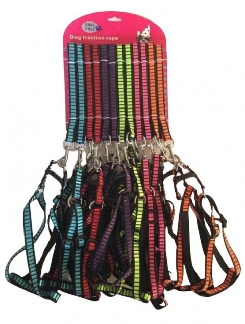 Maxi Life Gezd.renkli Gögüs Tasması 12'li Set