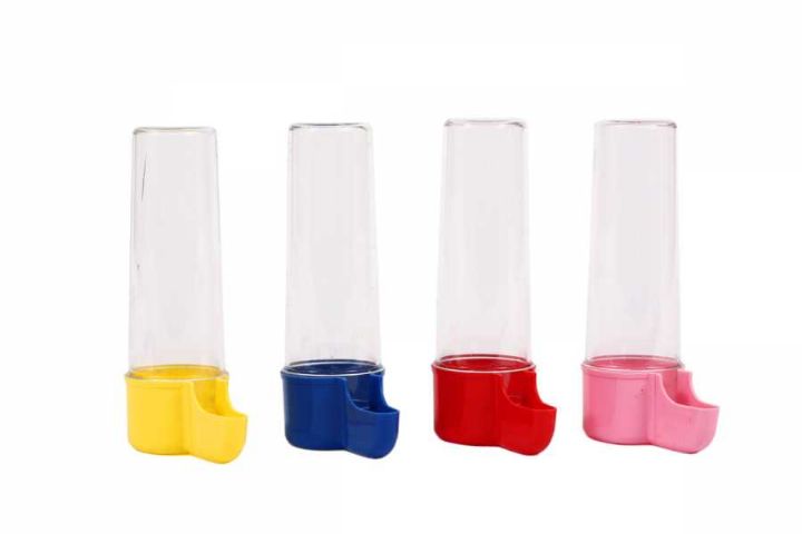 HAS KANARYA SULUK 40'lı Paket