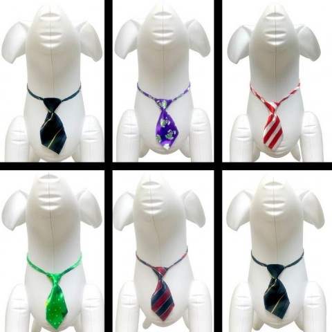 MAXI LIFE KRAVATLI BOYUN TASMASI 6'LI