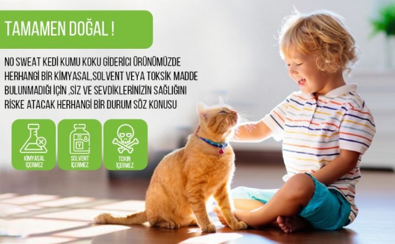 No Sweat Karbon Kedi Kumu Koku Giderici 500gr