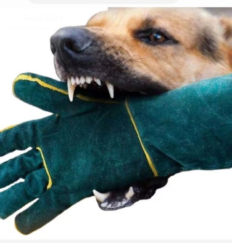 NUNBELL KEDİ KÖPEK YAKALAMA ELDİVENİ 45CM