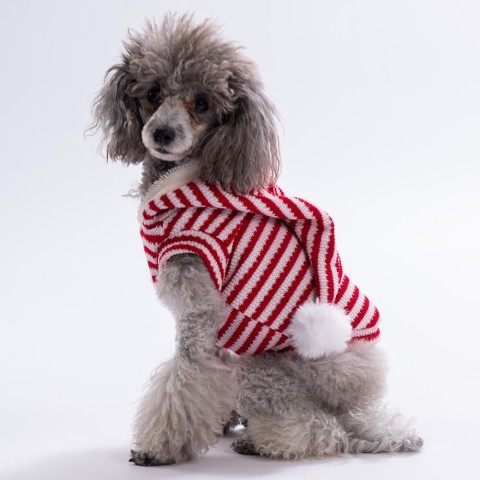Pawstar Candycane Yelek Sweat