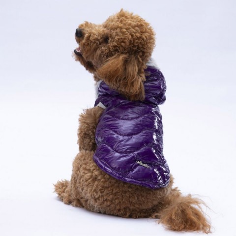 PAWSTAR MOR LİGHT WAVE YELEK