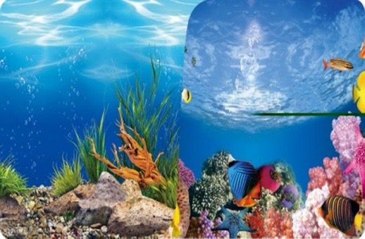 PLASTİK OKYANUS NEHİR 40cm-15mt