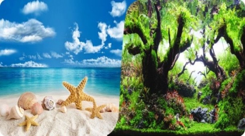 Plastik Poster Deniz Bitki 30cm-15mt