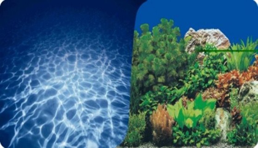 Plastik Poster Deniz&bitki 30cm-15mt