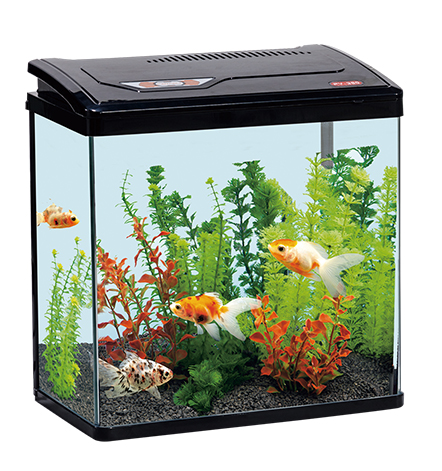 Purfect Akvaryum 480x260x440mm