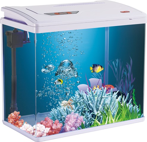 Purfect Akvaryum 570x290x490mm